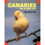 CANARIES AS A NEW PET