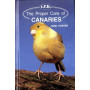CANARIES, THE PROPER CARE OF