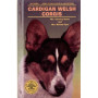 CARDIGAN WELSH CORGIS
