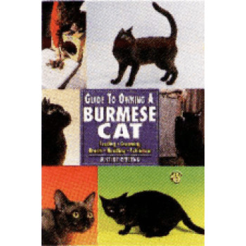 CAT - BURMESE- GUIDE TO OWNING                                                  