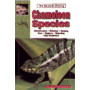 CHAMELEONS SPECIES VOL.1