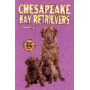 CHESAPEAKE BAY RETRIEVERS