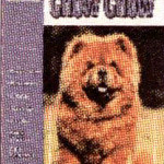 CHOW CHOW GUIDE TO OWNING