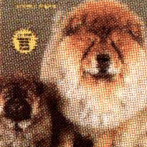 CHOW CHOWS