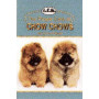 CHOW-CHOWS, THE PROPER CARE
