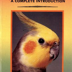 COCKATIELS
