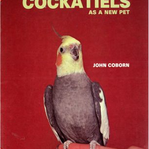 COCKATIELS AS A NEW PET