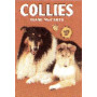 COLLIES
