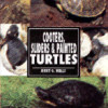 COOTER & SLIDERS