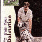 DALMATIAN TRAIN