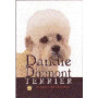 DANDIE DINMONT TERRIER