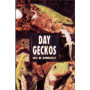DAY GECKOS