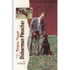 DOBERMAN PINSCHER TRAIN