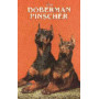 DOBERMANN PINSCHER-THE