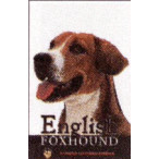 ENGLISH FOXHOUND COMPLETE