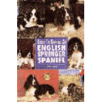 ENGLISH SPRINGER SPANIEL