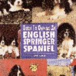 ENGLISH SPRINGER SPANIEL