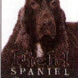 FIELD SPANIEL