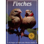 FINCHES