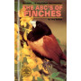 FINCHES
