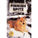 FINNISH SPITZ