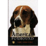 FOXHOUND - AMERICAN