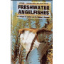 FRESHWATER ANGELFISH