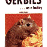 GERBILS AS A HOBBY