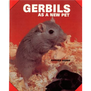 GERBILS AS A NEW PET                                                            