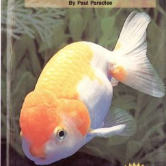 GOLDFISH