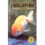 GOLDFISH