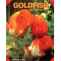 GOLDFISH AS A NEW PET
