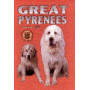 GREAT PYRENEES