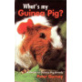 GUINEA PIG - WHATS MY
