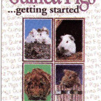 GUINEA PIGS AS A HOBBY