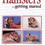 HAMSTERS AS A HOBBY