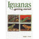 IGUANAS AS A HOBBY
