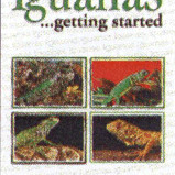 IGUANAS AS A HOBBY