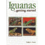 IGUANAS AS A HOBBY
