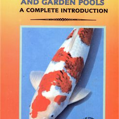 KOI AND GARDEN POOLS