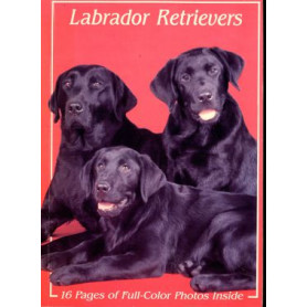 LABRADOR RETRIEVERS