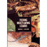 LIZARDS, FEEDING INSECT-EATING