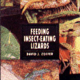 LIZARDS, FEEDING INSECT-EATING