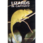 LIZARDS, KEEPING IN CAPTIVITY
