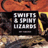 LIZARDS,SWIFTS & SPINY