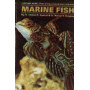 MARINE FISH