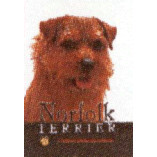 NORFOLK TERRIER