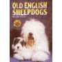 OLD ENGLISH SHEEPDOGS