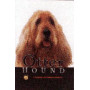 OTTERHOUND