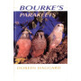 PARAKEETS, BOURKES